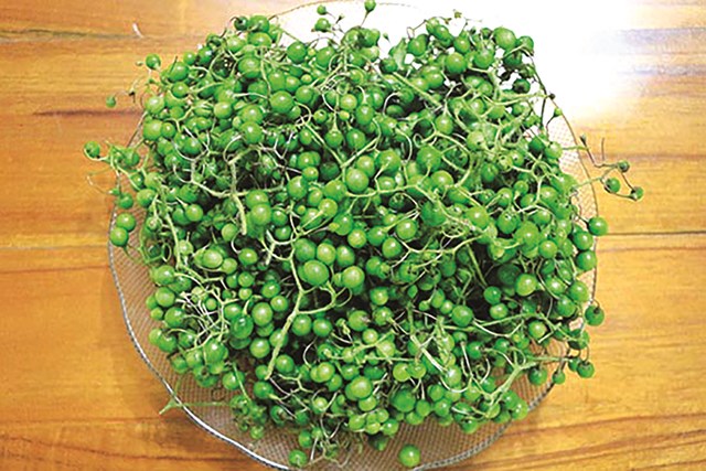 Ch&aacute;o mắc nhung - Ảnh 2.