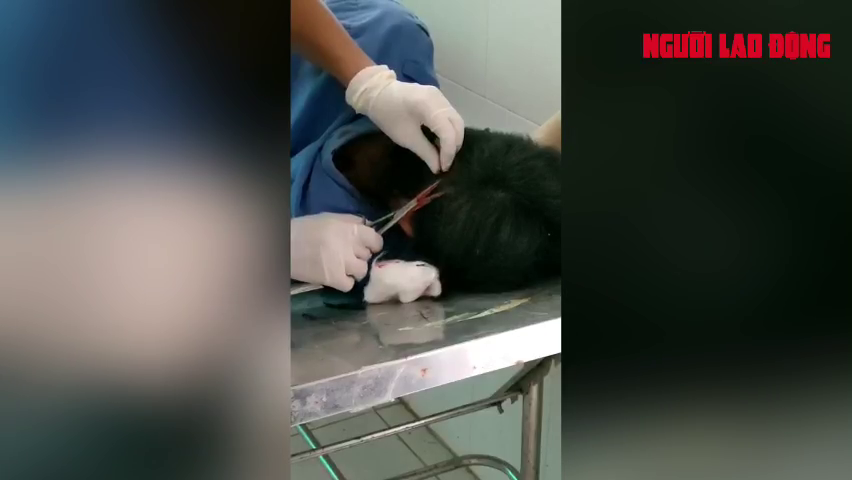 CLIP: Nh&oacute;m người hung hăng n&eacute;m đ&aacute; khiến bảo vệ c&ocirc;ng tr&igrave;nh điện gi&oacute; nhập viện - Ảnh 8.