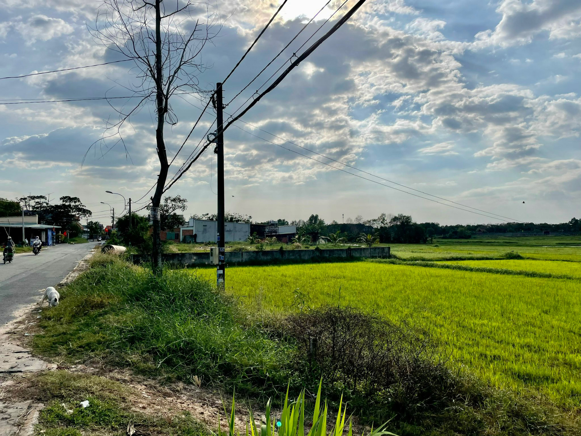 Quay quắt với quy hoạch treo (*): Thoát "treo" còn hơn trúng số!