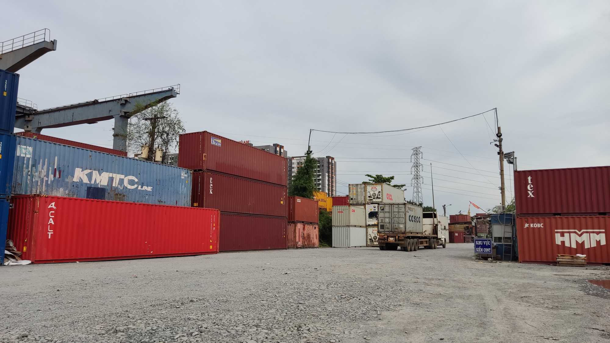 Khoảng 300.000 tấn thanh long c&oacute; nguy cơ ế ẩm khi Trung Quốc ngừng mua - Ảnh 2.