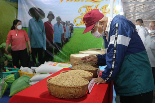 Khai mạc Festival Lúa gạo Việt Nam lần thứ 5