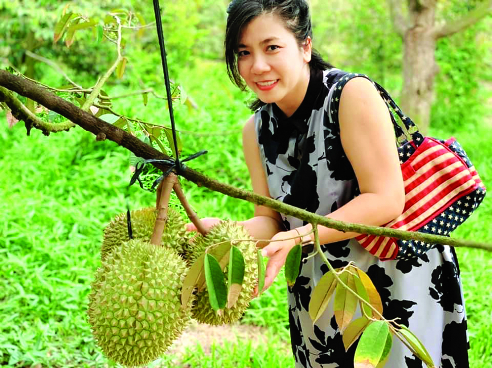 Mùa sầu riêng muộn