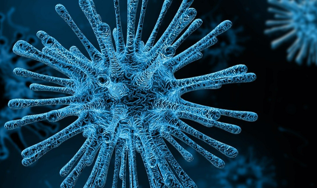 Một virus khỉ kh&aacute;c đang sẵn s&agrave;ng để l&acirc;y sang người - Ảnh 1.