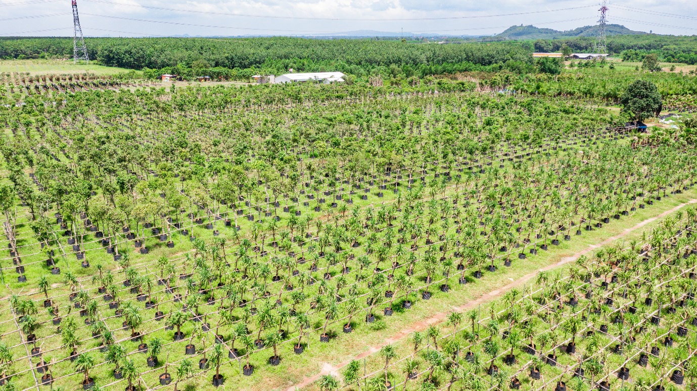 Nova Evergreen - Doanh nghiệp tăng trưởng nhanh năm 2022 - Ảnh 4.