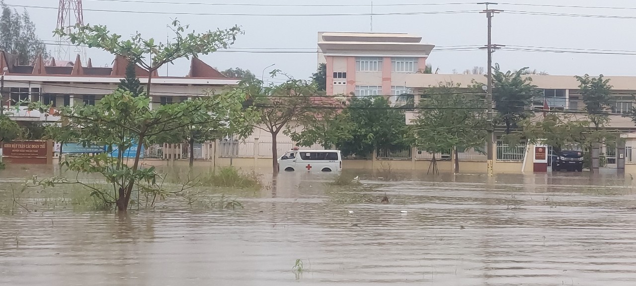 H&agrave;ng trăm h&eacute;c ta thanh long tại B&igrave;nh Thuận ngập s&acirc;u sau trận mưa giữa đ&ecirc;m - Ảnh 3.
