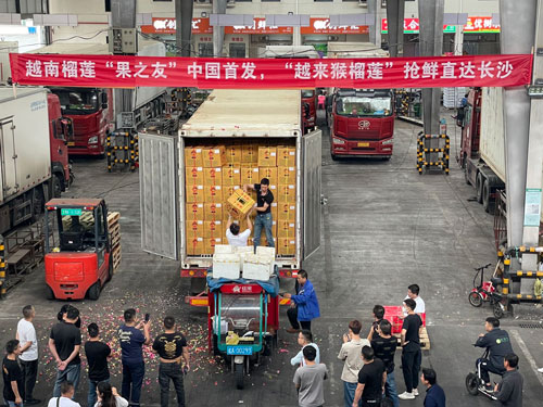 Xuất khẩu rau quả bỏ trống nhiều thị trường