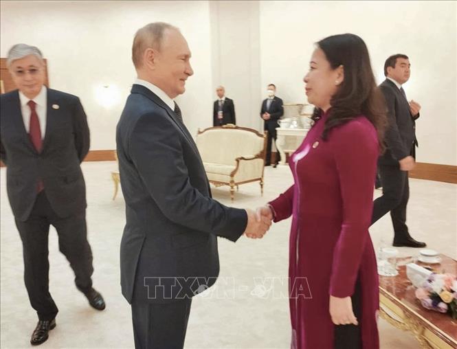 Ph&oacute; Chủ tịch nước V&otilde; Thị &Aacute;nh Xu&acirc;n gặp Tổng thống Nga Vladimir Putin - Ảnh 1.