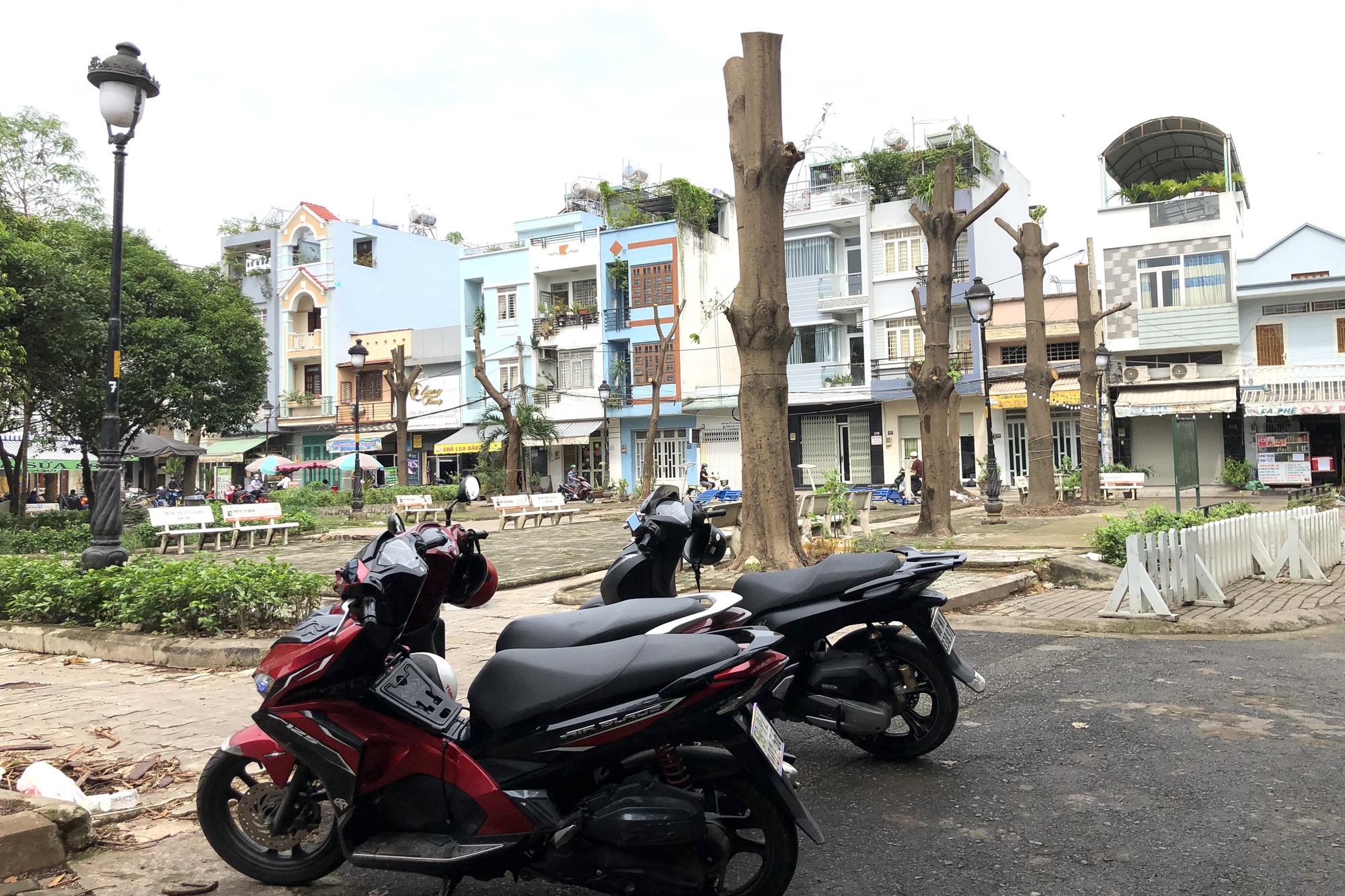 Ngỡ ngàng với hình ảnh hàng cây trơ xương ở quận 8 - TP HCM - Ảnh 6.
