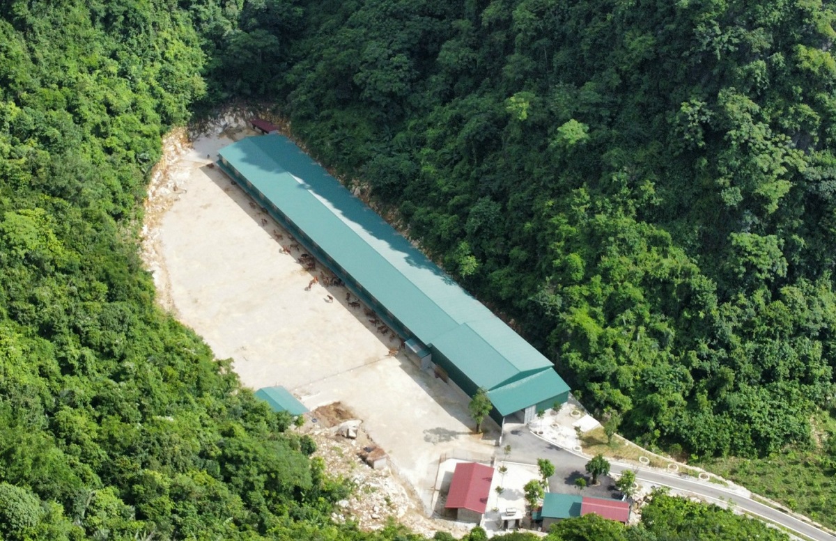 Hàng loạt công trình xây dựng trái phép mọc trên đất quốc phòng - Ảnh 5.