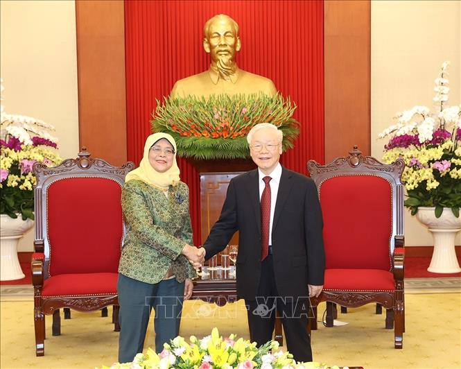 Tổng Bí thư Nguyễn Phú Trọng tiếp Tổng thống Singapore - Ảnh 1.