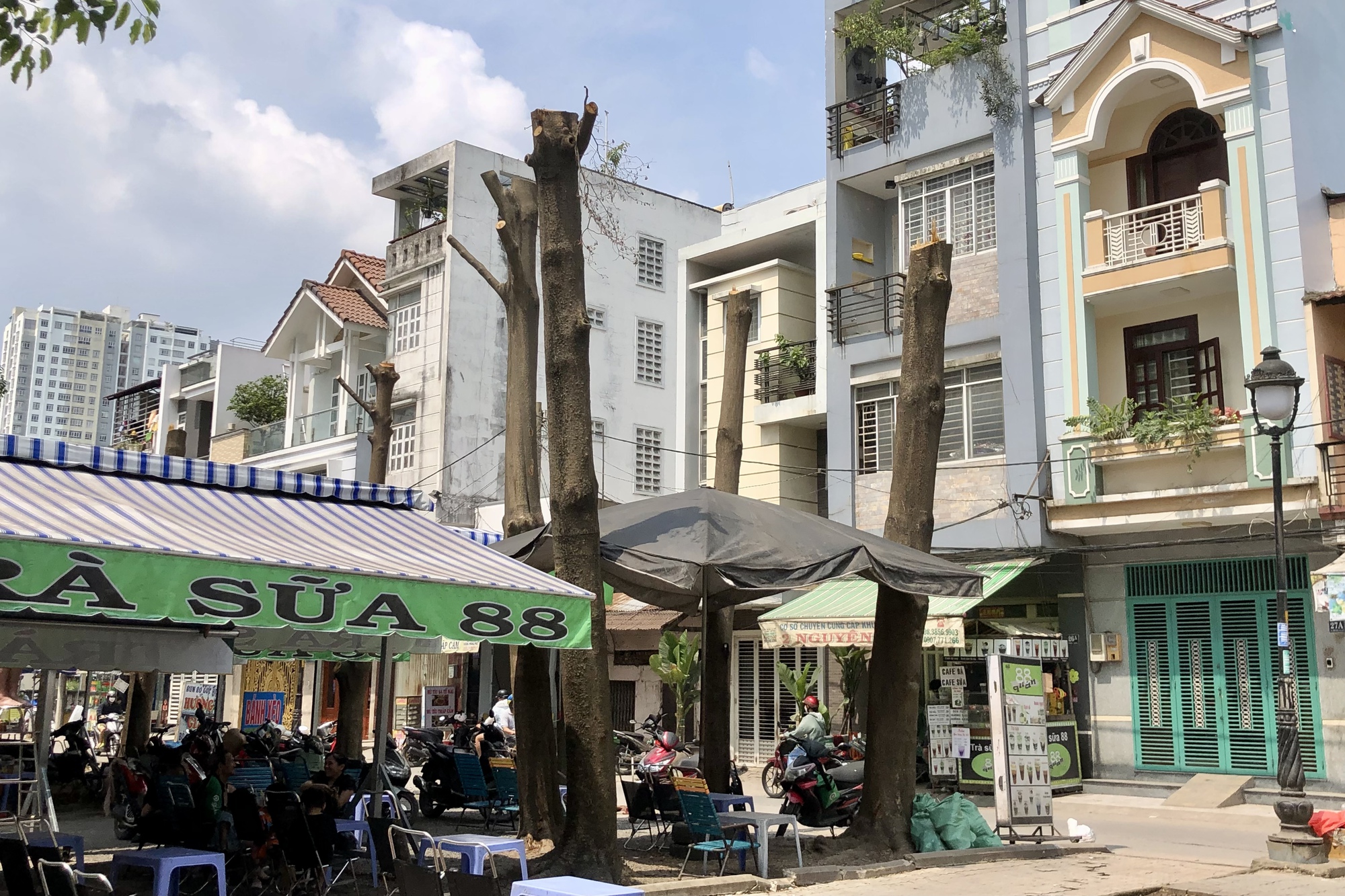 Ngỡ ngàng với hình ảnh hàng cây trơ xương ở quận 8 - TP HCM - Ảnh 2.