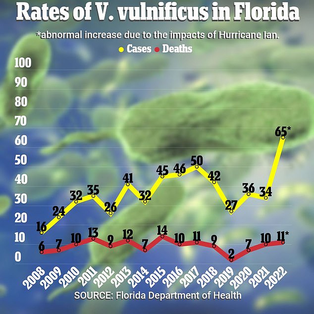 Bùng phát nỗi lo vi khuẩn ăn thịt người ở Florida - Ảnh 4.