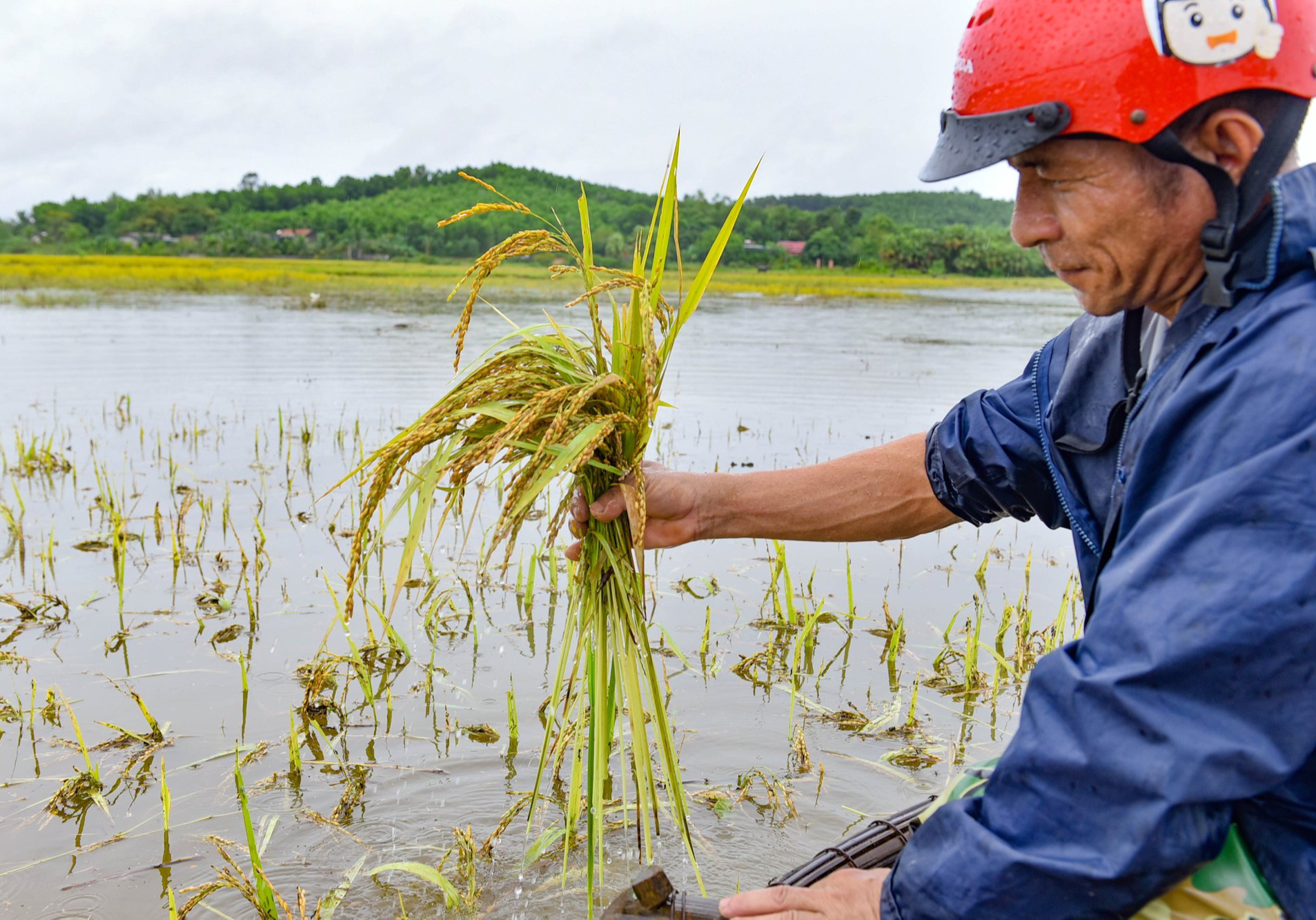 Mưa lớn khiến một ngôi làng bị cô lập nhiều ngày qua