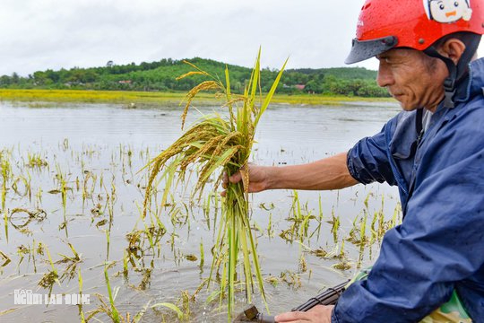 Mưa lớn khiến một ng&ocirc;i l&agrave;ng ở Thanh H&oacute;a bị c&ocirc; lập nhiều ng&agrave;y qua - Ảnh 4.