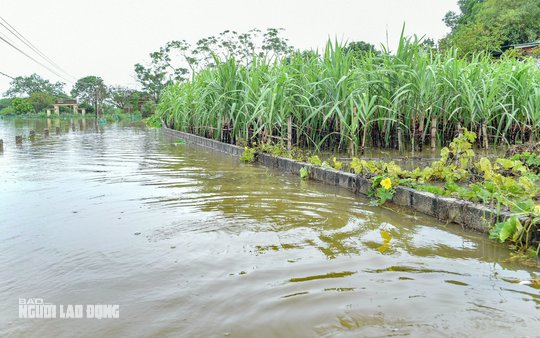 Mưa lớn khiến một ng&ocirc;i l&agrave;ng ở Thanh H&oacute;a bị c&ocirc; lập nhiều ng&agrave;y qua - Ảnh 6.
