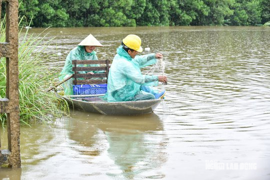 Mưa lớn khiến một ng&ocirc;i l&agrave;ng ở Thanh H&oacute;a bị c&ocirc; lập nhiều ng&agrave;y qua - Ảnh 9.