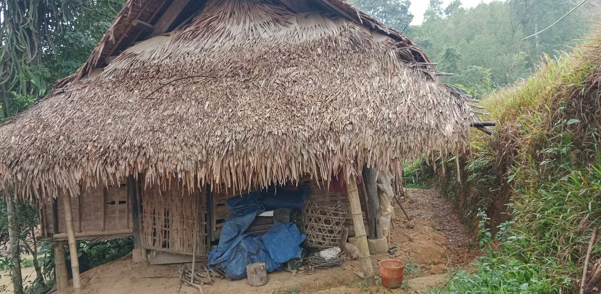 Nhặt bọc trứng cóc về ăn, 3 cha con nhập viện cấp cứu