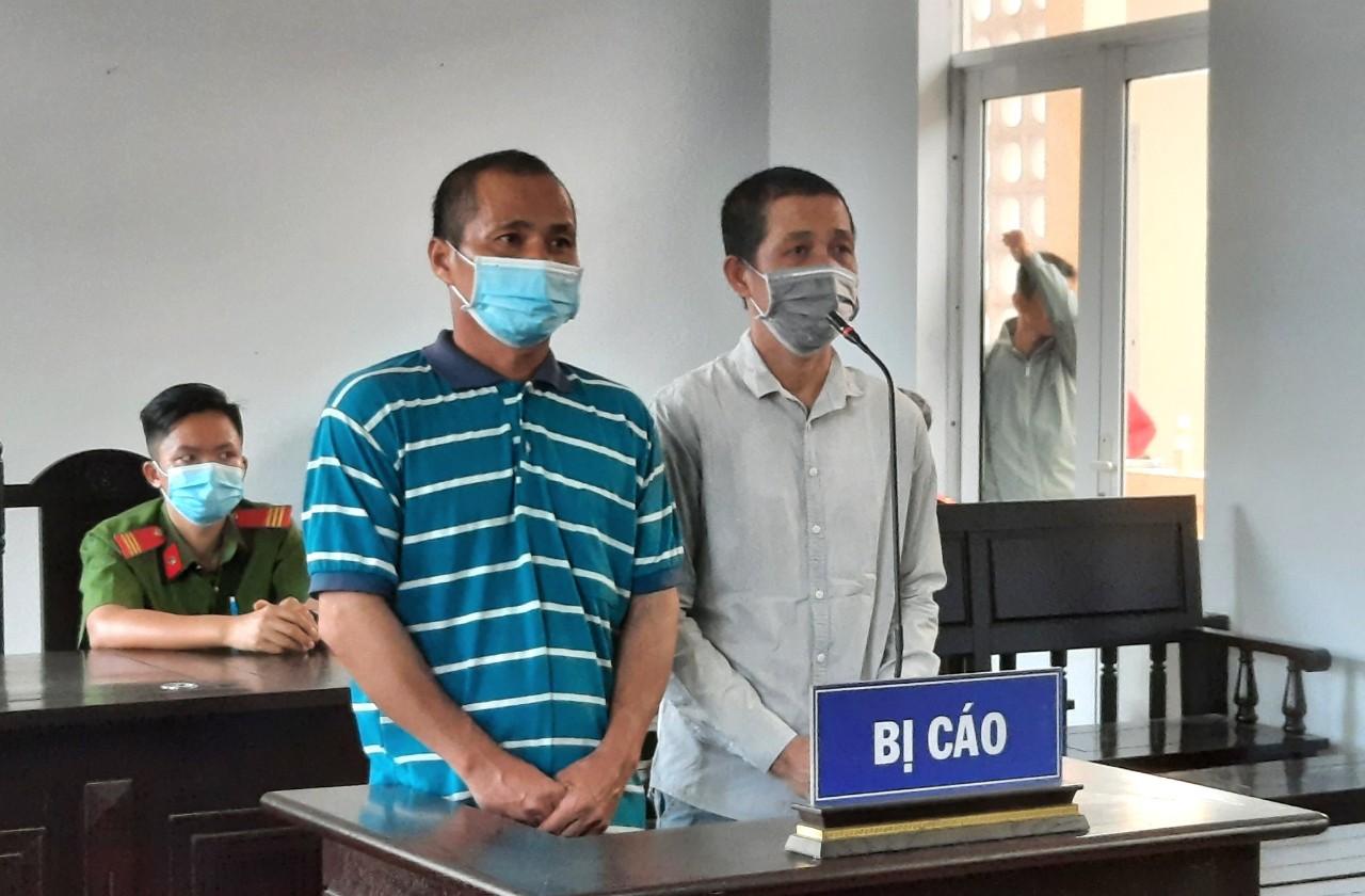 Phú Quốc: Bị phạt tù vì nhận thuê phá rừng với giá 500.000 đồng/ngày