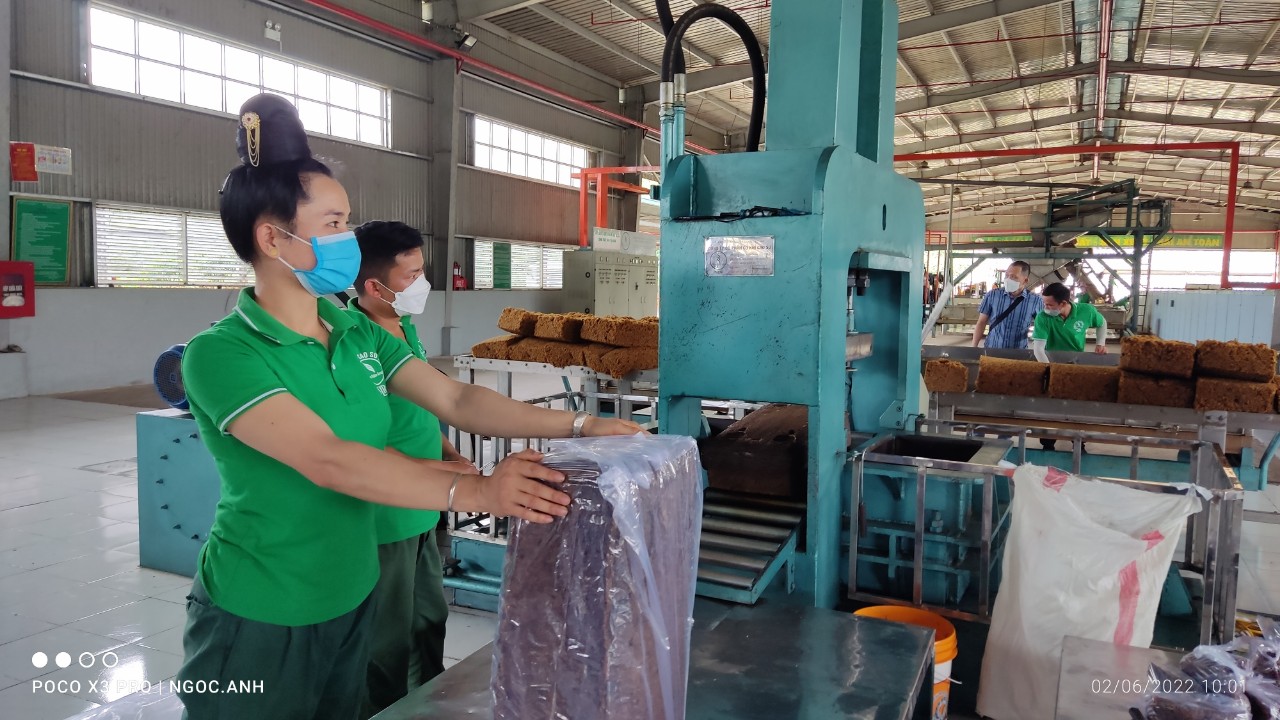 Tập đoàn Công nghiệp cao su Việt Nam hướng đến lợi nhuận 6.870 tỉ đồng/năm