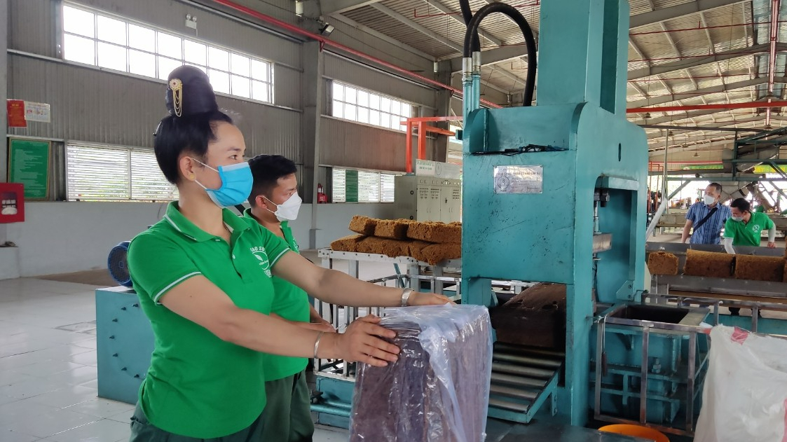 Tập đo&agrave;n C&ocirc;ng nghiệp cao su Việt Nam hướng đến lợi nhuận 6.870 tỉ đồng/năm - Ảnh 1.