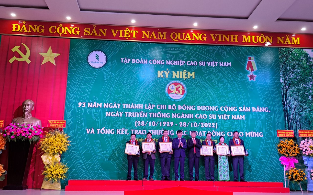 Tập đo&agrave;n C&ocirc;ng nghiệp cao su Việt Nam hướng đến lợi nhuận 6.870 tỉ đồng/năm - Ảnh 2.