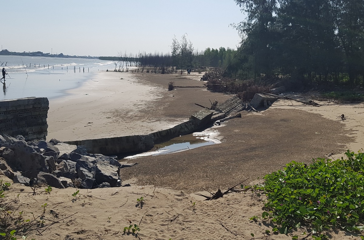 Biển xâm thực dài 1,5 km nuốt nhiều ha đất, Thanh Hóa phải cầu cứu Bộ - Ảnh 9.