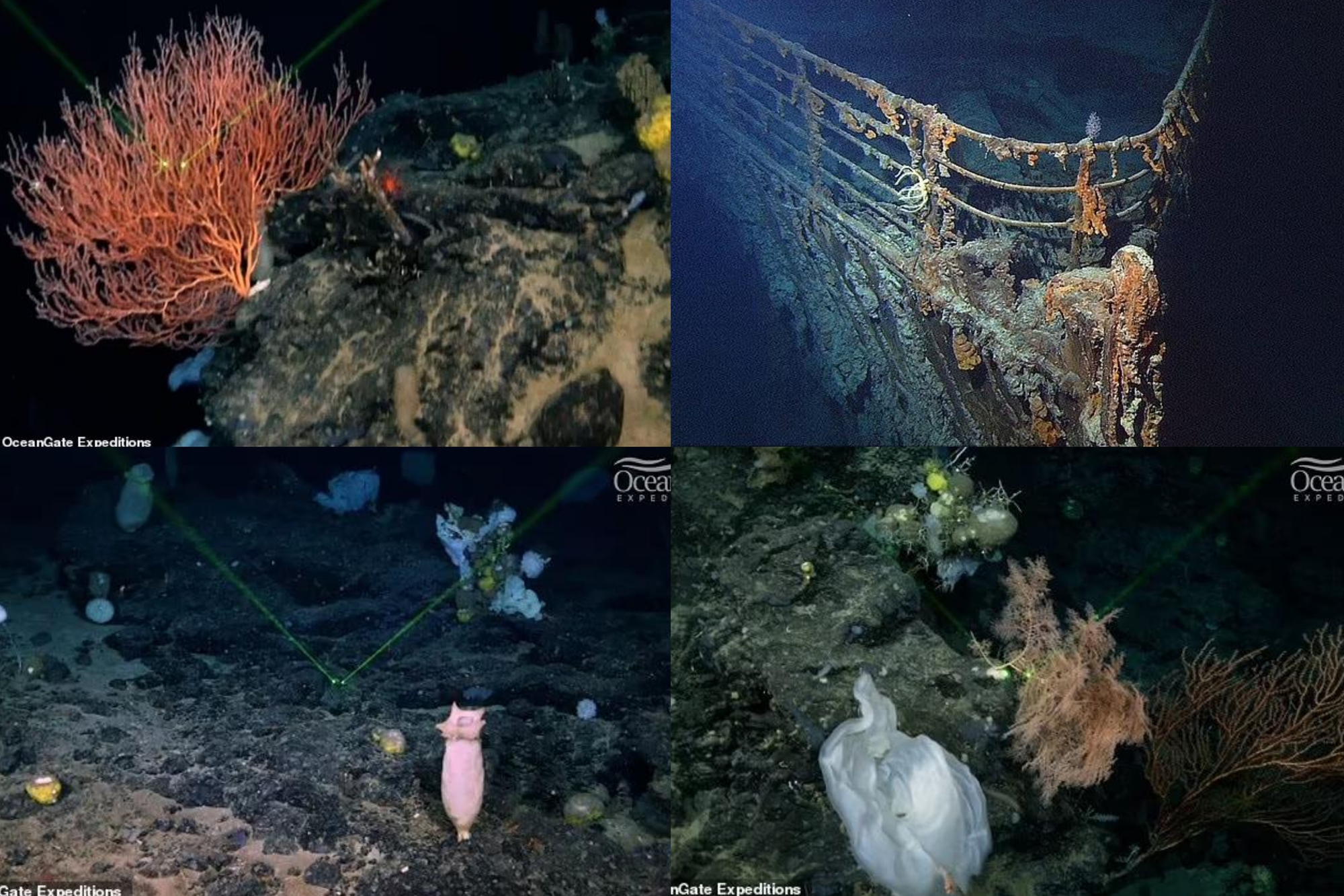 Sự thật choáng váng về hàng ngàn "hồn ma" cạnh xác tàu Titanic