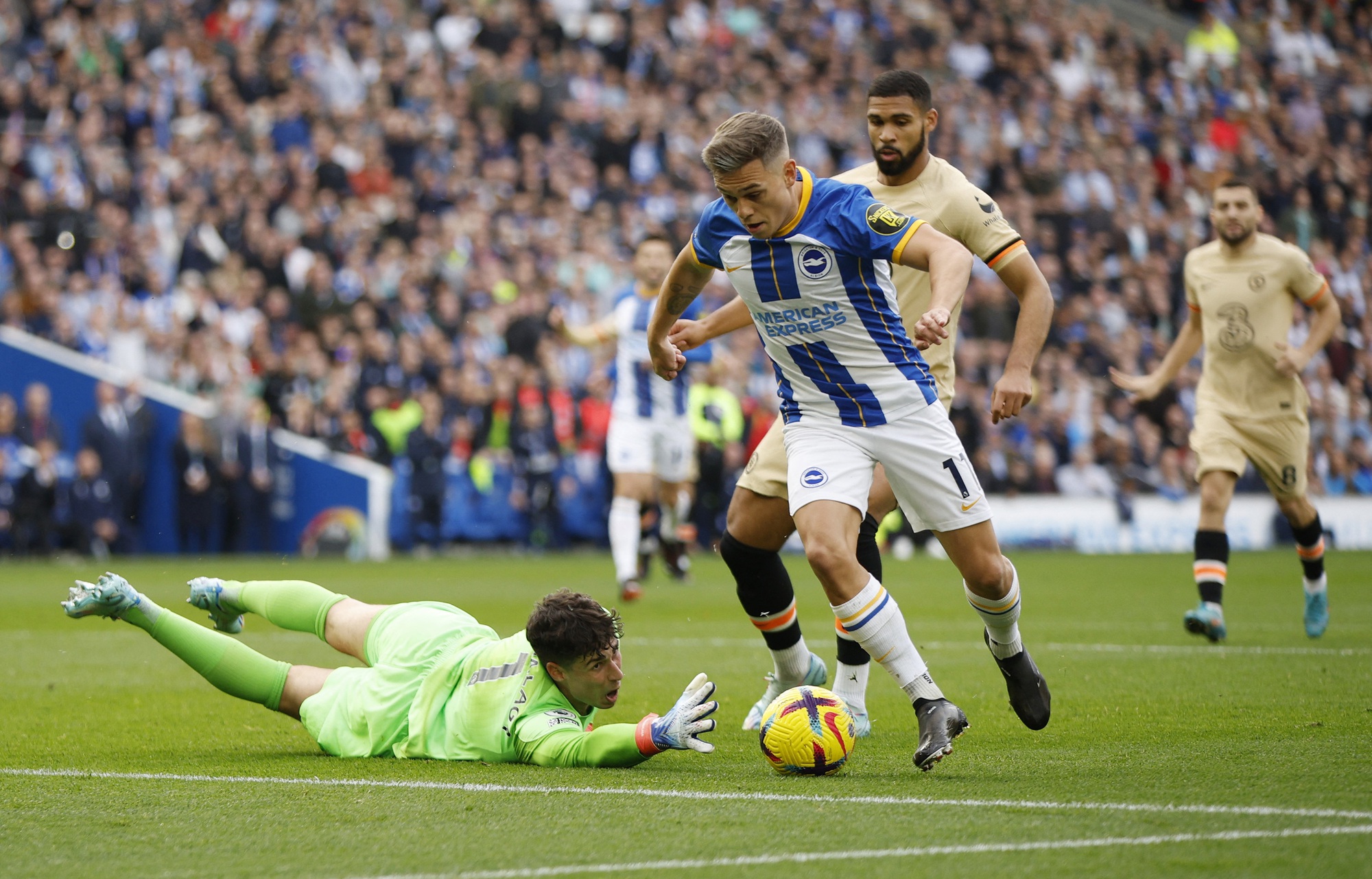 Chelsea thua thảm Brighton, địa chấn rung rinh Ngoại hạng Anh - Ảnh 2.