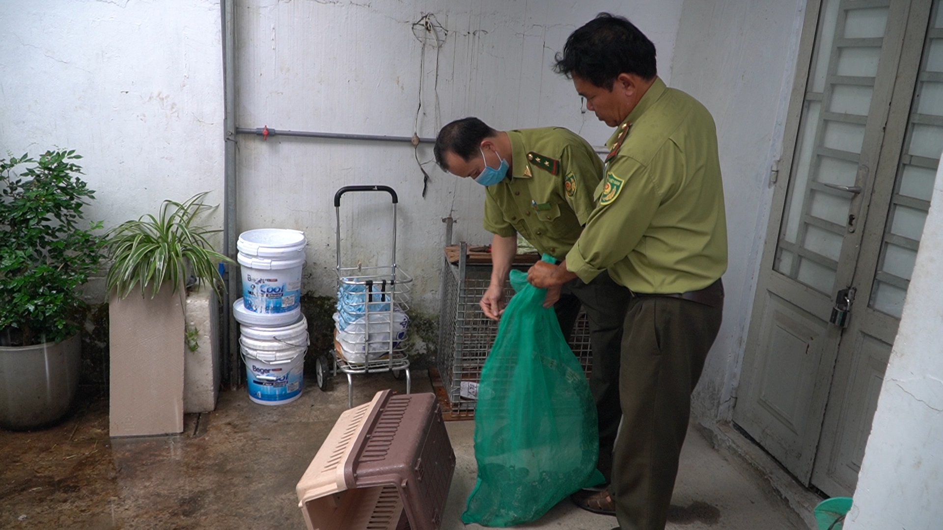 Người dân quận 12 giao nộp khỉ quý hiếm
