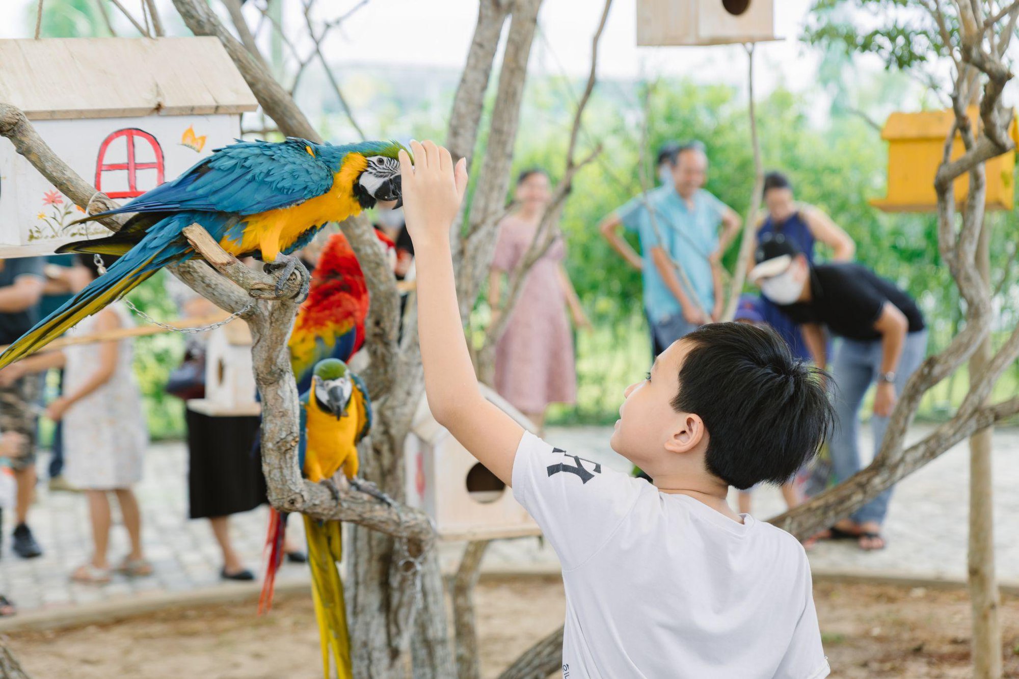 Charm Resort Hồ Tràm đáp ứng nhu cầu nghỉ dưỡng cuối tuần nhờ hệ tiện ích đa dạng