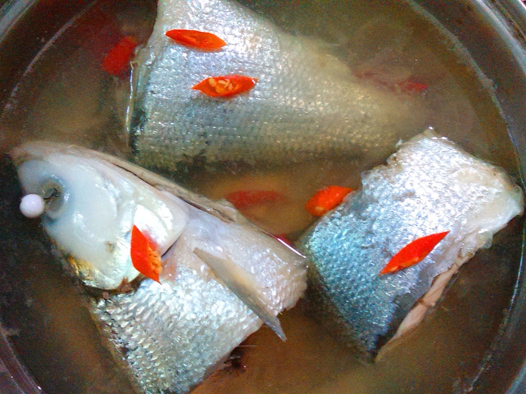 Cá măng và những món ngon từ loài cá "giang hồ" này