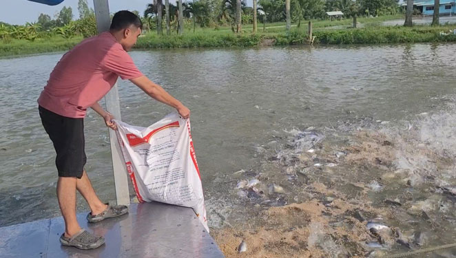 Khó tiếp cận giống cá chất lượng cao
