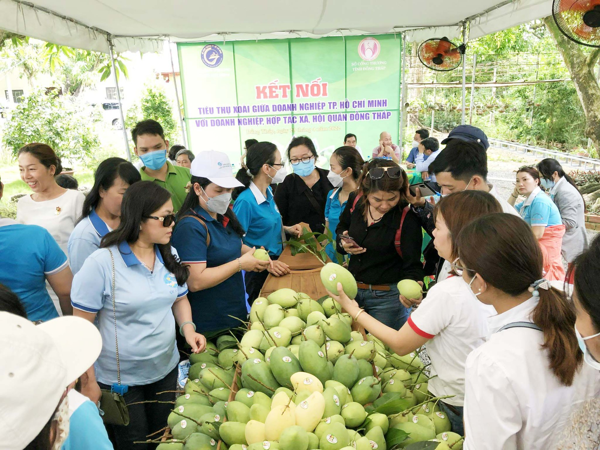 Bình ổn thị trường TP HCM gắn với liên kết vùng