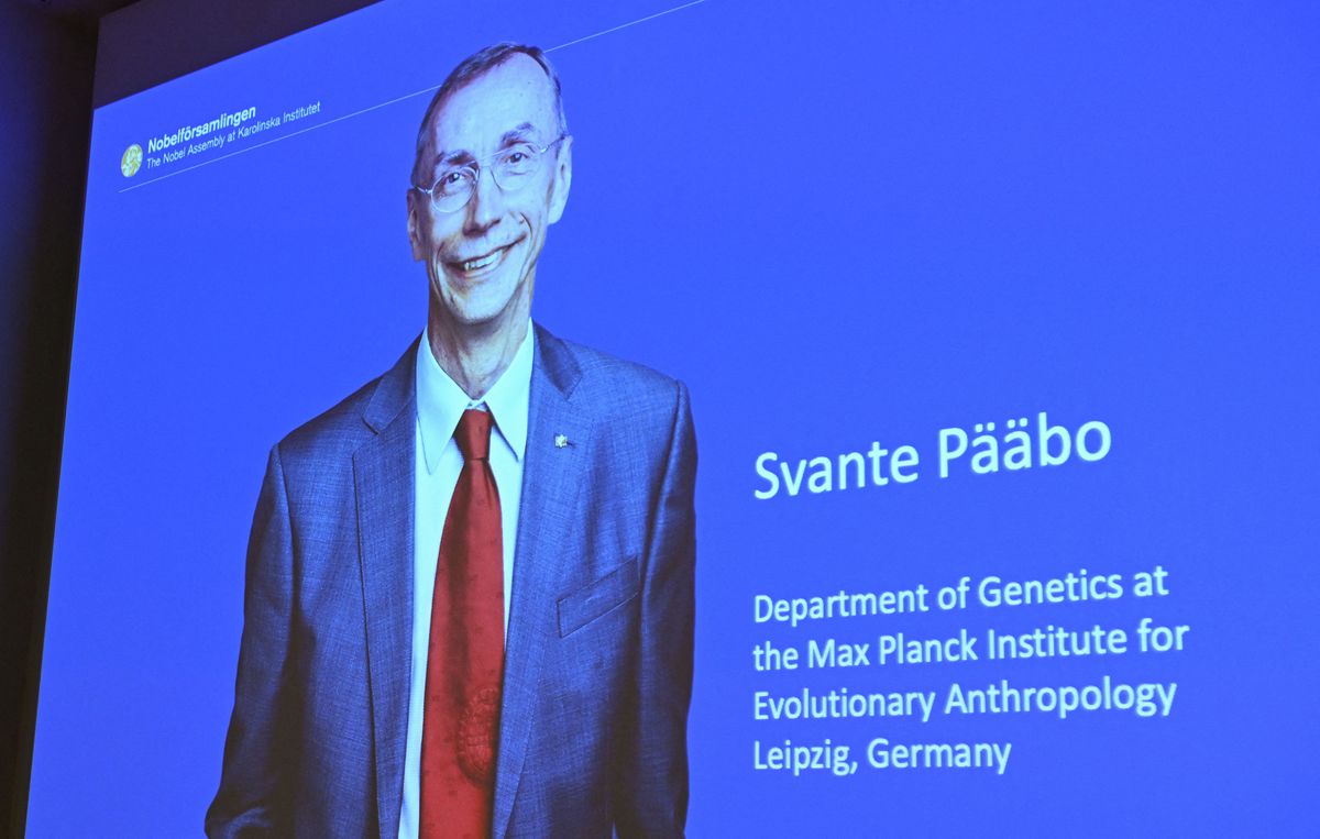 Phân tích đặc biệt về Giải Nobel Y sinh 2022 - Ảnh 4.