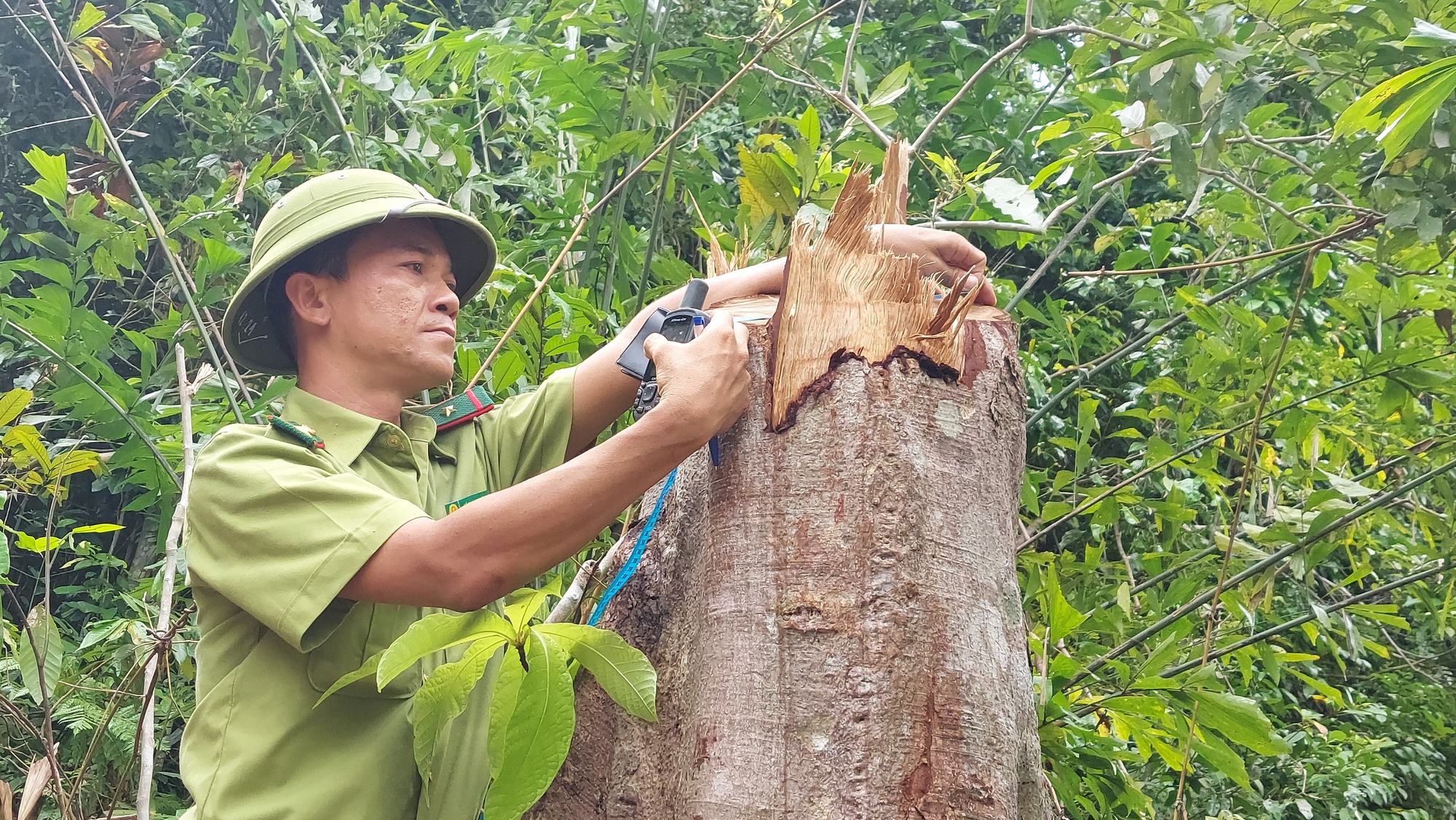 "Tối hậu thư" của tỉnh Quảng Trị sau thông tin Báo Người Lao Động phản ánh
