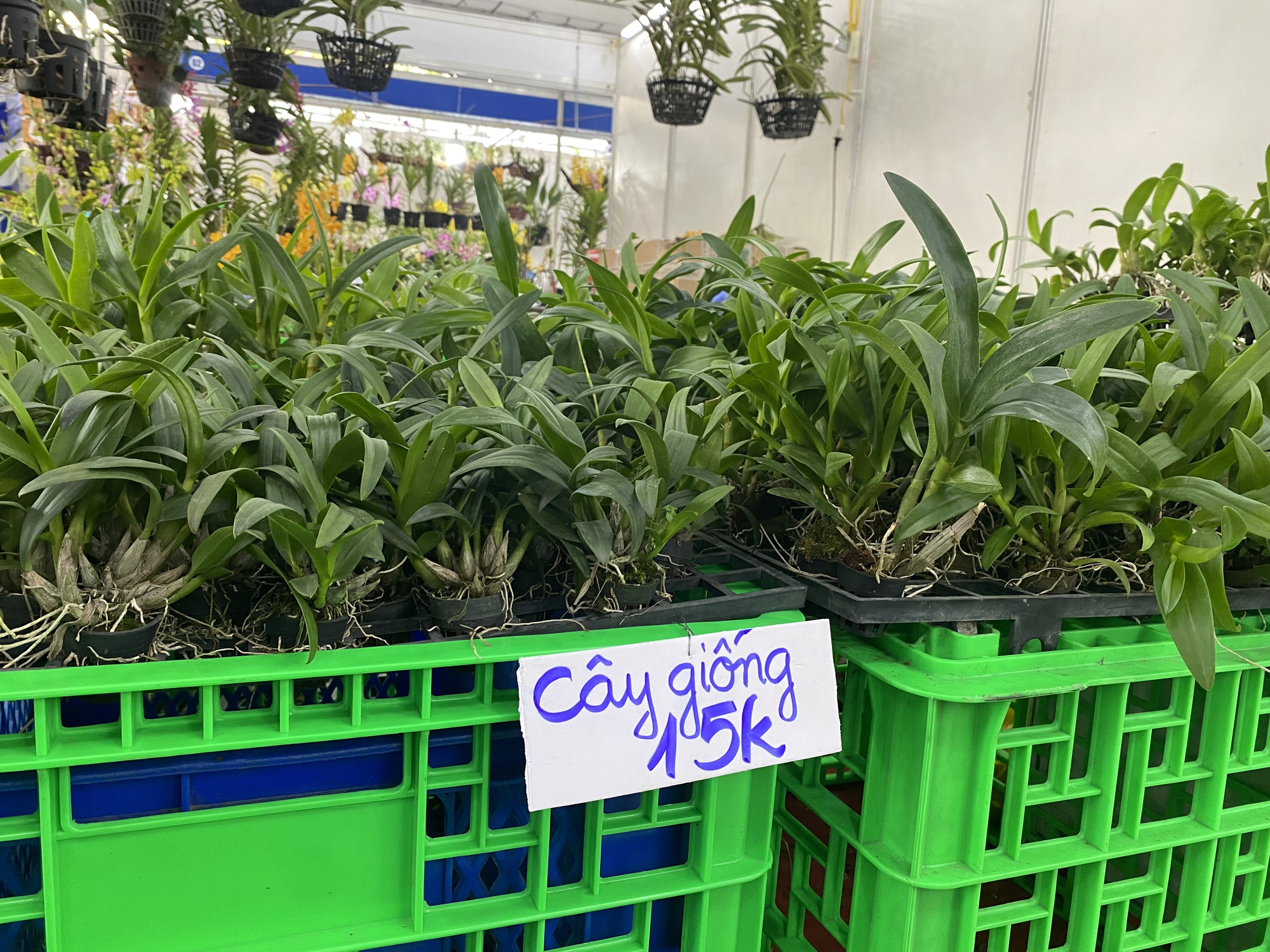 Đặc sản khắp cả nước hội tụ về TP HCM - Ảnh 6.