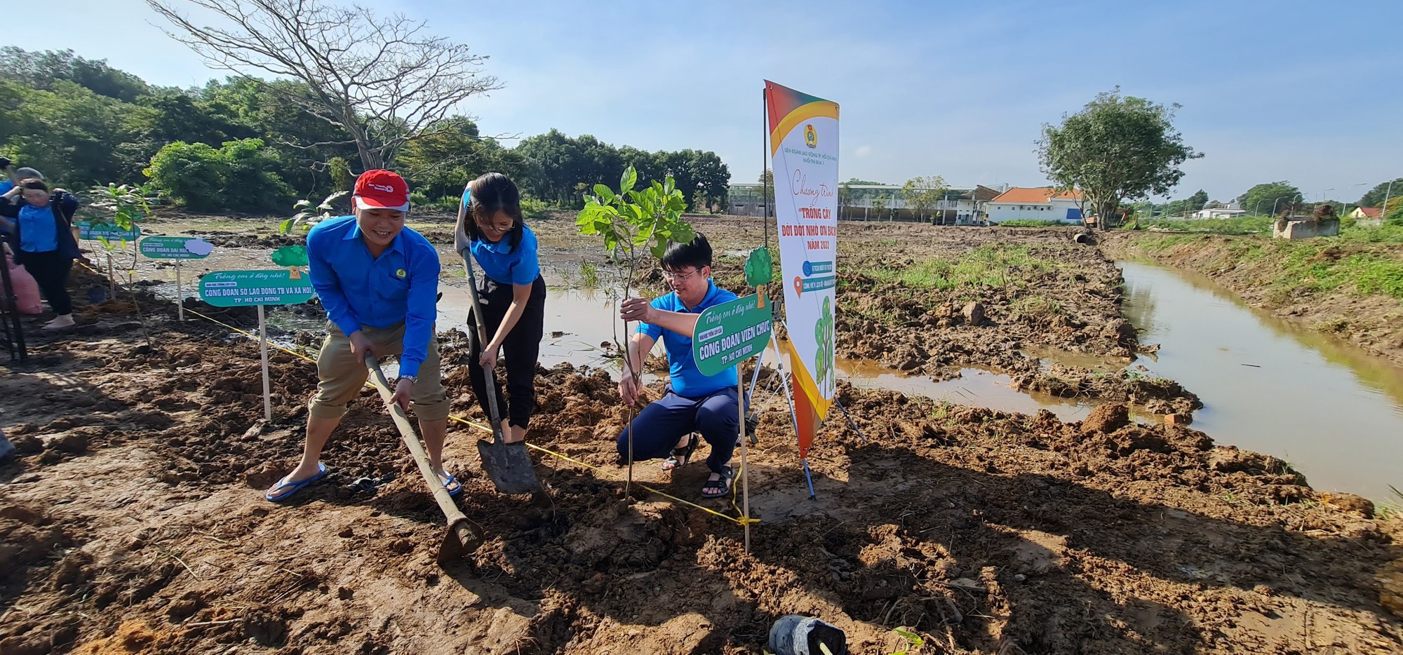 Tạo mảng xanh cho thành phố