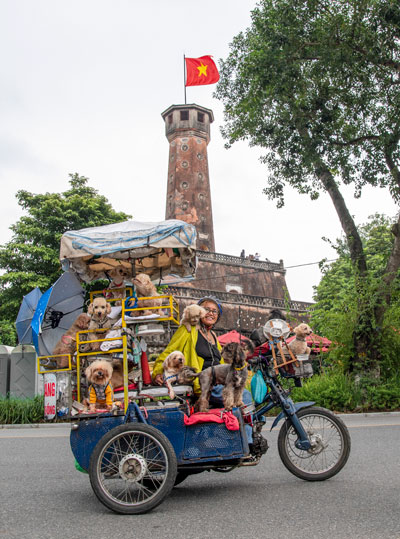 H&agrave; Nội, t&igrave;nh y&ecirc;u trong t&ocirc;i - Ảnh 3.