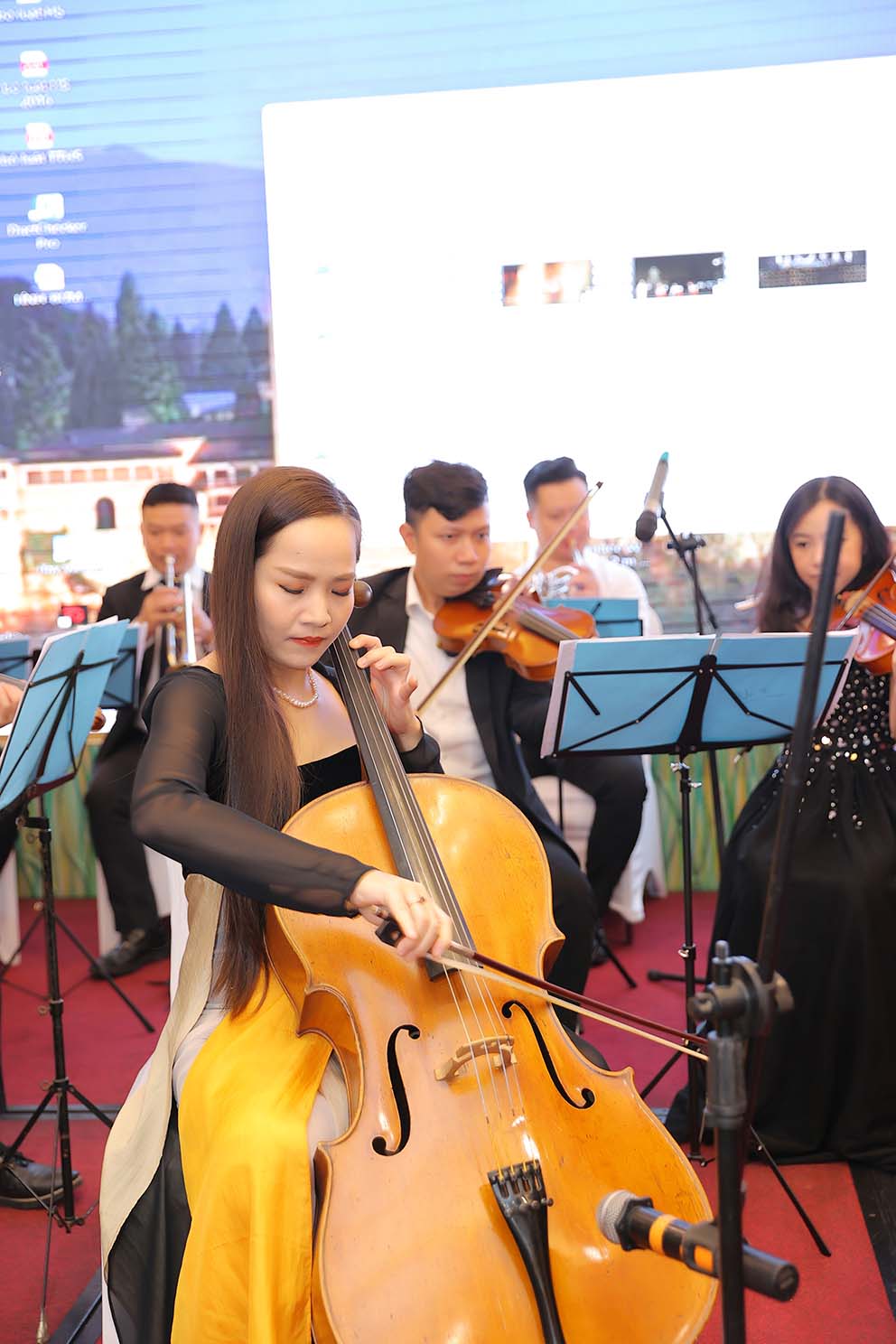 Cello Đinh Ho&agrave;i Xu&acirc;n mang d&agrave;n nhạc Bucharest tới Việt Nam - Ảnh 4.