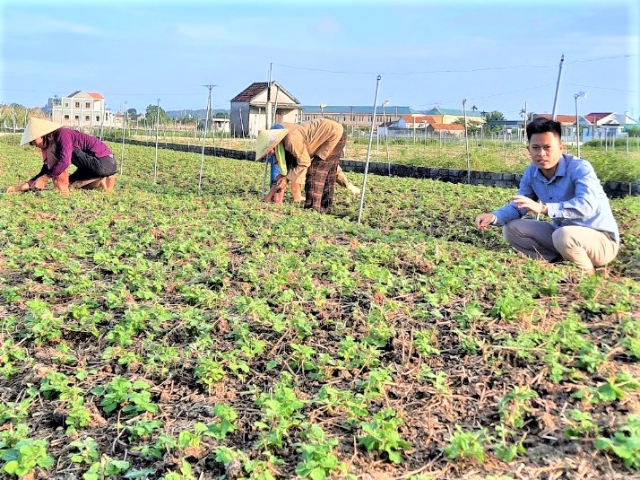 L&ecirc;n đời nhờ c&acirc;y dược liệu - Ảnh 2.