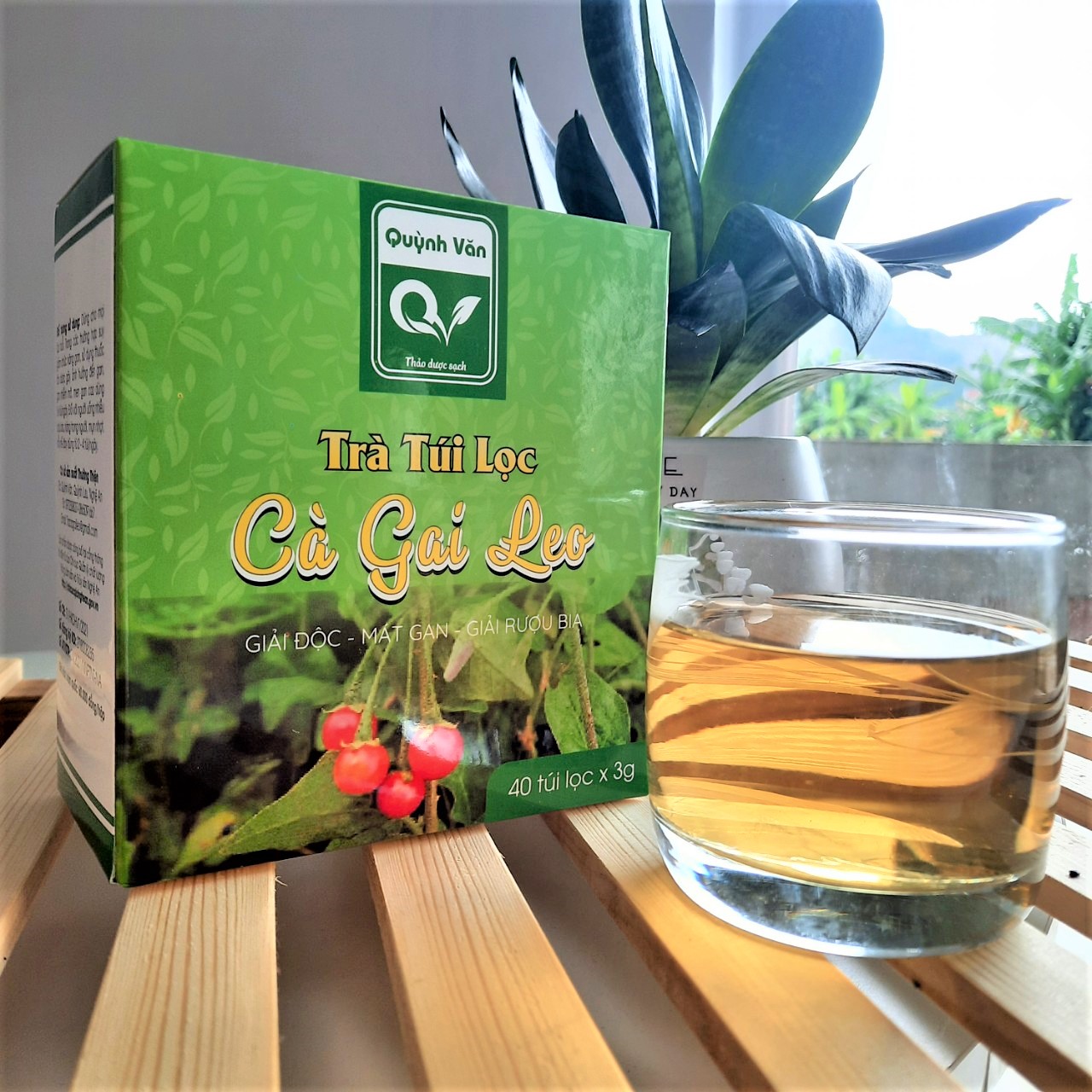 L&ecirc;n đời nhờ c&acirc;y dược liệu - Ảnh 3.