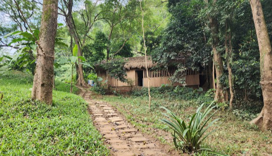 Cận cảnh th&aacute;nh địa Ozo Park lấn chiếm hơn 3,6ha rừng ph&ograve;ng hộ Phong Nha - Kẻ B&agrave;ng - Ảnh 9.