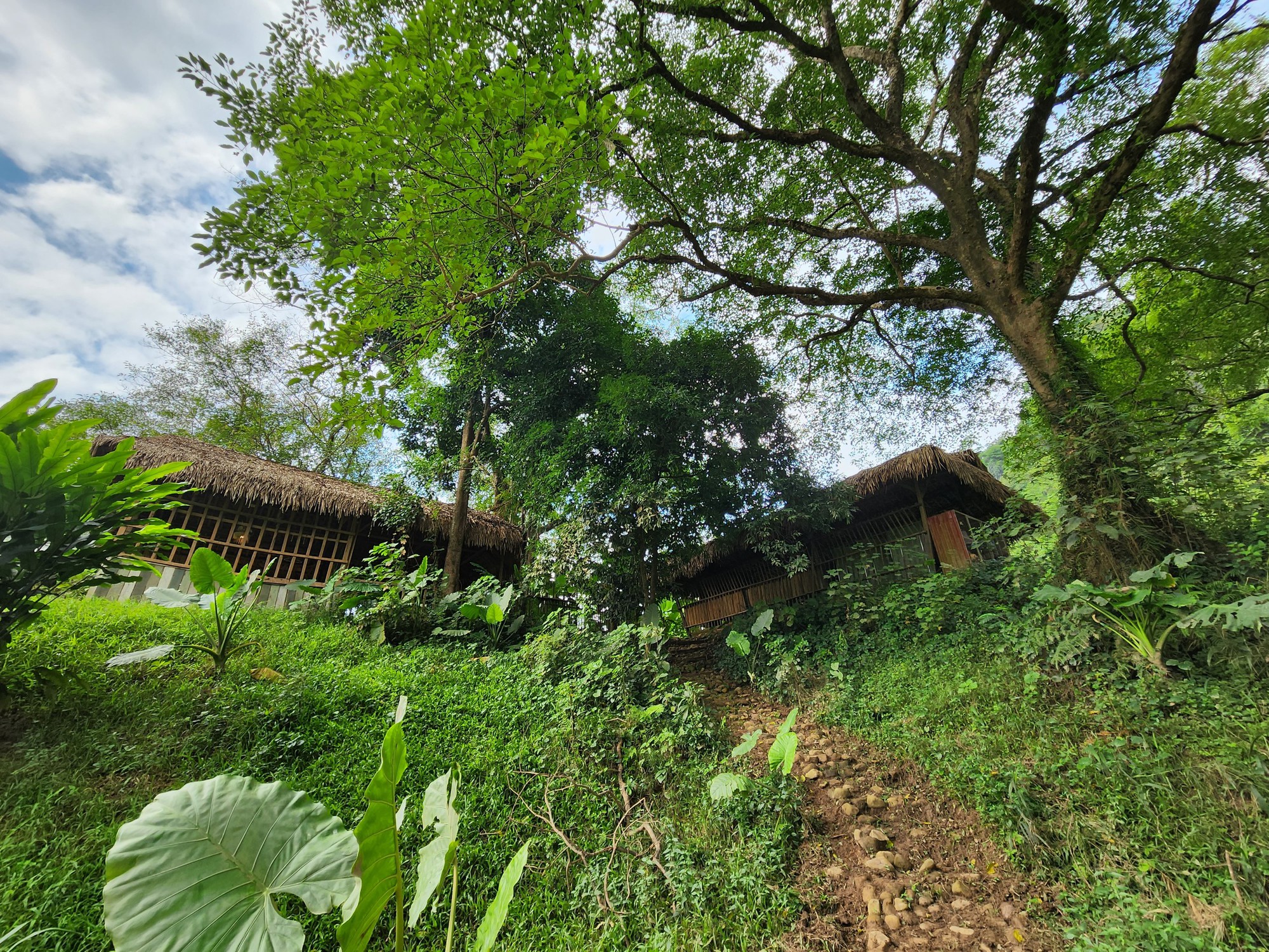 Cận cảnh th&aacute;nh địa Ozo Park lấn chiếm hơn 3,6ha rừng ph&ograve;ng hộ Phong Nha - Kẻ B&agrave;ng - Ảnh 12.