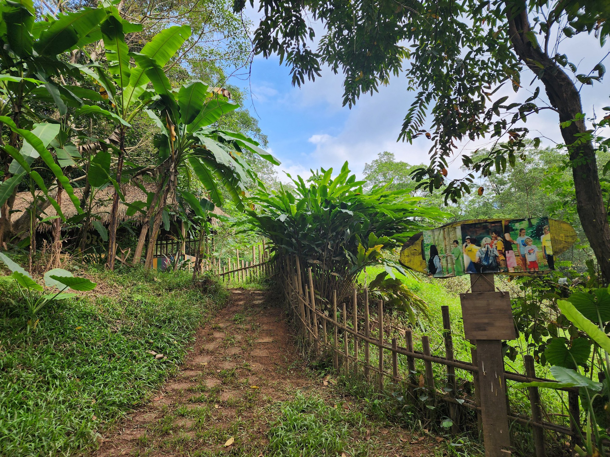 Cận cảnh th&aacute;nh địa Ozo Park lấn chiếm hơn 3,6ha rừng ph&ograve;ng hộ Phong Nha - Kẻ B&agrave;ng - Ảnh 13.