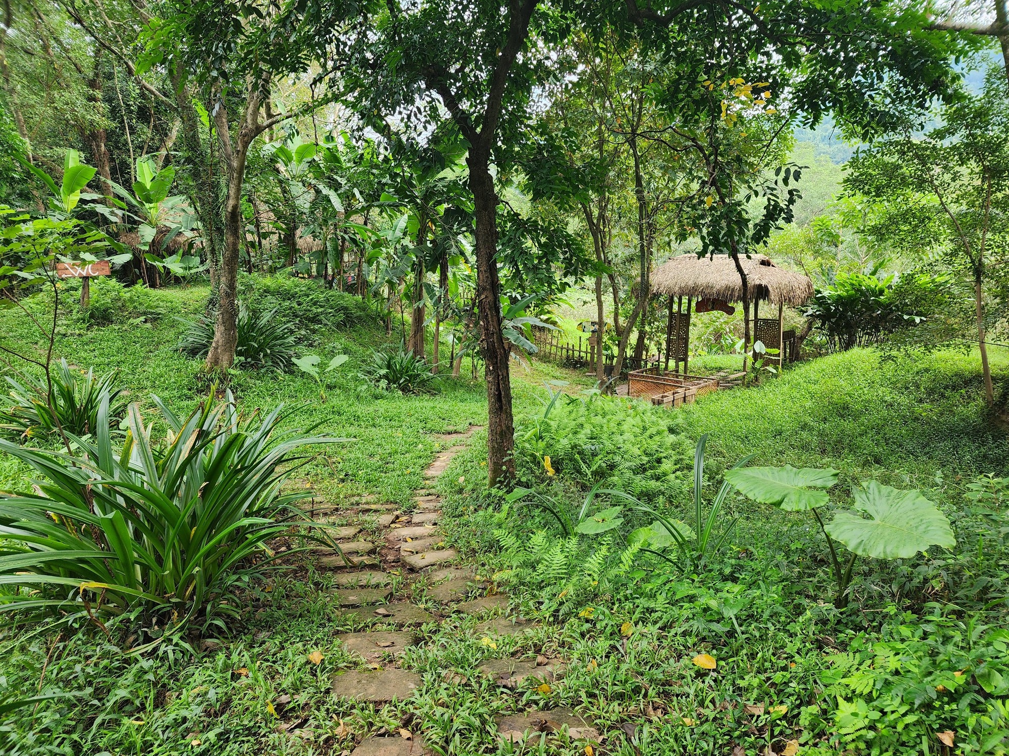 Cận cảnh th&aacute;nh địa Ozo Park lấn chiếm hơn 3,6ha rừng ph&ograve;ng hộ Phong Nha - Kẻ B&agrave;ng - Ảnh 15.
