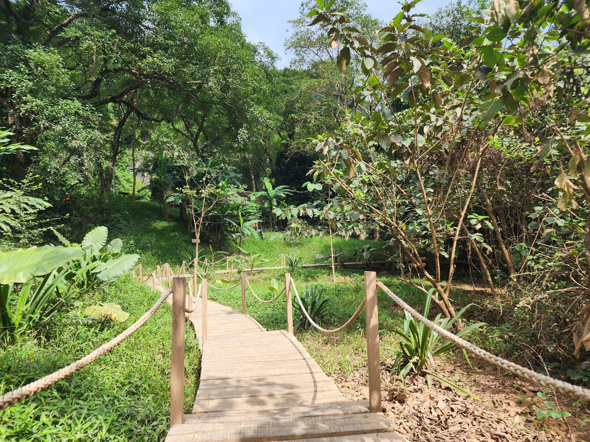 Cận cảnh th&aacute;nh địa Ozo Park lấn chiếm hơn 3,6ha rừng ph&ograve;ng hộ Phong Nha - Kẻ B&agrave;ng - Ảnh 4.