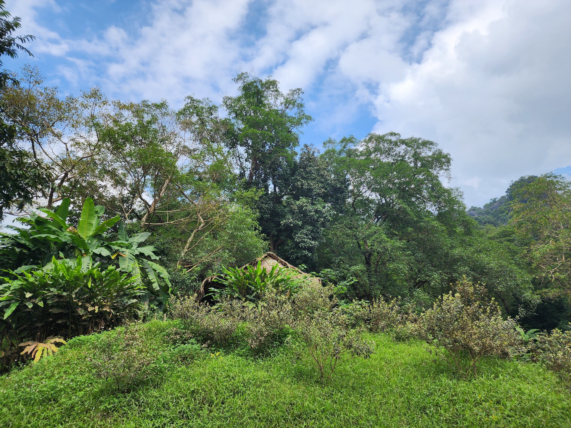 Cận cảnh th&aacute;nh địa Ozo Park lấn chiếm hơn 3,6ha rừng ph&ograve;ng hộ Phong Nha - Kẻ B&agrave;ng - Ảnh 5.
