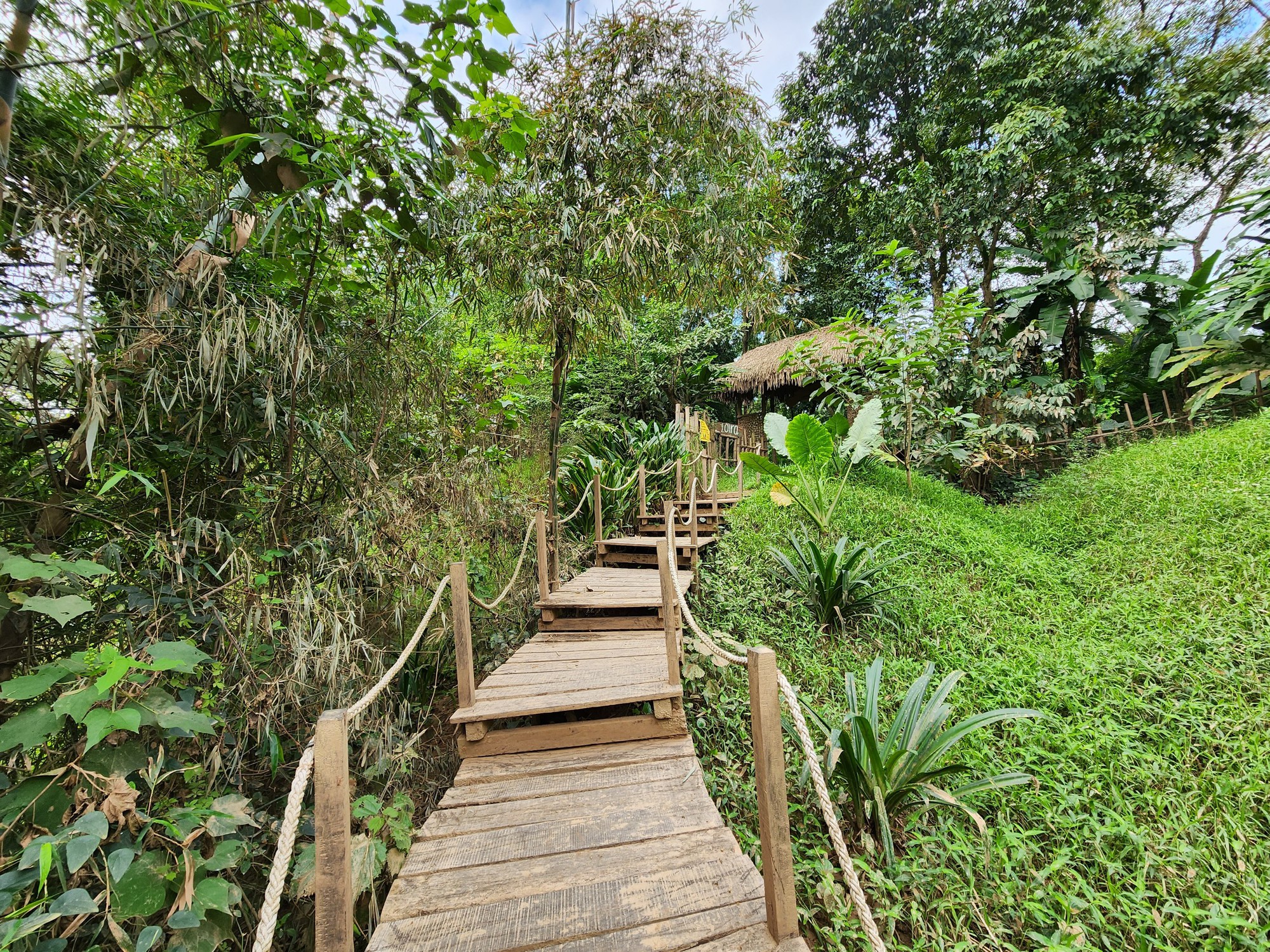 Cận cảnh th&aacute;nh địa Ozo Park lấn chiếm hơn 3,6ha rừng ph&ograve;ng hộ Phong Nha - Kẻ B&agrave;ng - Ảnh 6.