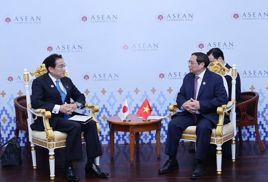 Nhật Bản sẽ c&ocirc;ng bố mở cửa cho quả nh&atilde;n Việt Nam trong th&aacute;ng 11 - Ảnh 2.