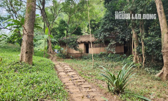 Vụ lấn chiếm hơn 3,6 ha rừng ở Phong Nha - Kẻ Bàng: Doanh nghiệp bất ngờ làm đơn khiếu nại